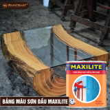 Bảng màu sơn dầu Maxilite