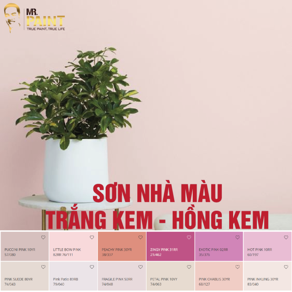 Top 5 màu sơn trắng kem - hồng kem đẹp nhất trên bảng màu sơn Dulux