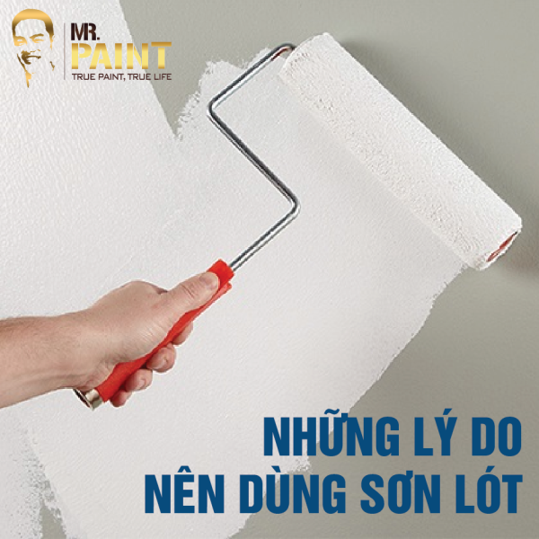 Sơn lót là gì? Những lý do nên sử dụng sơn lót